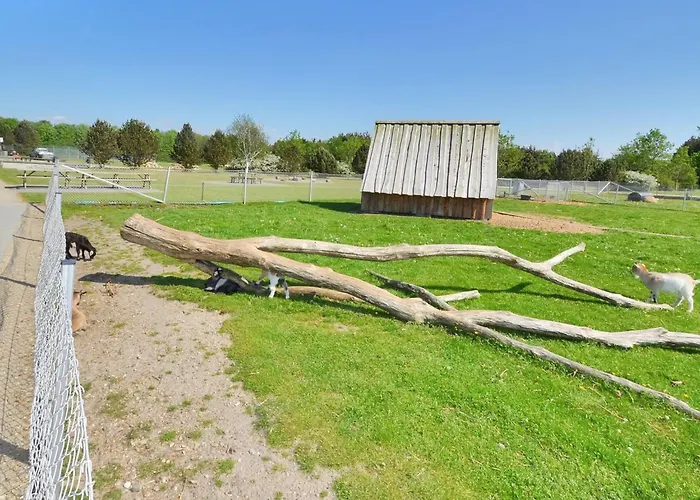 Aviaja - 12km From The Sea By Interhome * Oksbøl